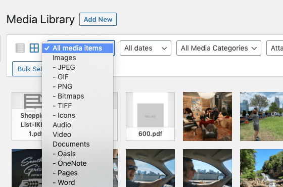 Media Library Organizer: Filters: File Types Dropdown